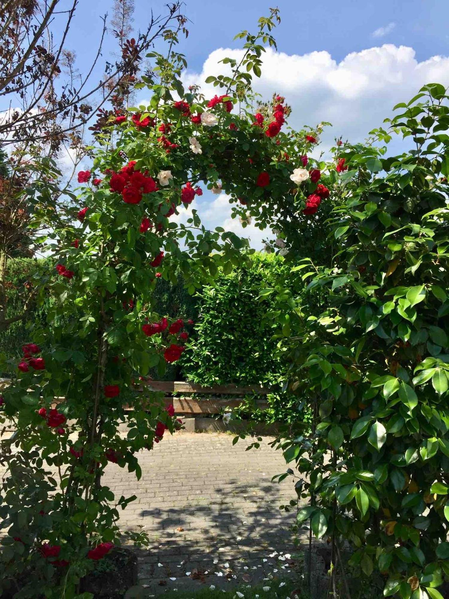 Apartmán Ferienhaus Windmuehlenweg Mit Garten Spenge Exteriér fotografie